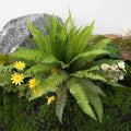 Artificial Green Plants for Landscaping and Home Decor